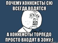 Почему хоккеисты СЮ всегда водятся а Хоккеисты Торпедо просто входят в зону:)