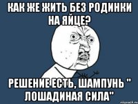 Как же жить без родинки на яйце? Решение есть, шампунь " Лошадиная сила"