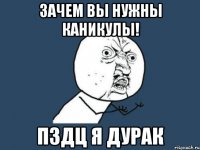 зачем вы нужны каникулы! пздц я дурак