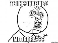 Ты не знаешь? MitiGora???