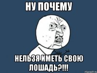 Ну почему нельзя иметь свою лошадь?!!!