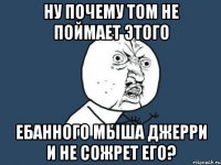 НУ почему ТОМ не поймает этого ебанного мыша джерри и не сожрет его?