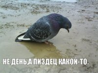 Не день,а пиздец какой-то.