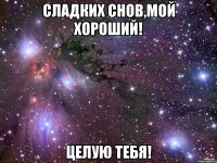 Сладких снов,мой хороший! Целую тебя!