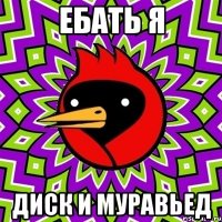 Ебать я Диск и Муравьед