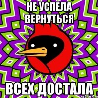 Не успела вернуться Всех достала