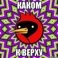 Каком К верху