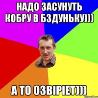 Надо засунуть кобру в бздуньку))) А то озвіріет)))