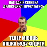 Дав одній свині на драйкоциклі прокататись тепер місяць пішки буду ходити