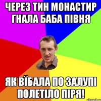 Через тин монастир гнала баба півня як вїбала по залупі полетіло піря!