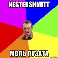 nestershmitt моль пузата