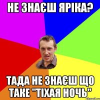 НЕ ЗНАЄШ ЯРІКА? ТАДА НЕ ЗНАЄШ ЩО ТАКЕ "ТІХАЯ НОЧЬ"