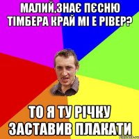 Малий,знає пєсню Тімбера край мі е рівер? То я ту річку заставив плакати