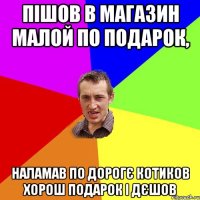 пішов в магазин малой по подарок, наламав по дорогє котиков хорош подарок і дєшов