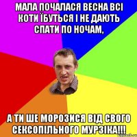 мала почалася весна всі коти їбуться і не дають спати по ночам, а ти ше морозися від свого сексопільного МУРЗІКА!!!