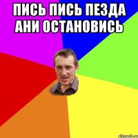 пись пись пезда Ани остановись 