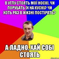 В углу стоять мої носкі. Чи порубать їх на кускі? Чи хоть раз в жизні постірать? А ЛАДНО, ХАЙ СОБІ СТОЯТЬ