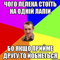 ЧОГО ЛЕЛЕКА СТОЇТЬ НА ОДНІЙ ЛАПІИ БО ЯКЩО ПРИЙМЕ ДРУГУ ТО ЙОБНЕТЬСЯ