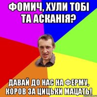 Фомич, хули тобі та Асканія? Давай до нас на ферму, коров за цицьки мацать!