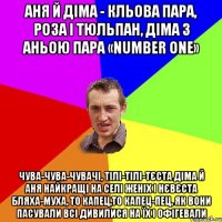 Аня й Діма - кльова пара, роза і тюльпан, Діма з Аньою пара «number one» Чува-чува-чувачі, тілі-тілі-тєста Діма й Аня найкращі на селі женіх і нєвєста Бляха-муха, то капец,то капец-пец, як вони пасували Всі дивилися на їх і офігевали