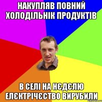 Накупляв повний холодільнік продуктів В селі на нєдєлю елєктрічєство вирубили