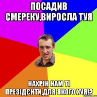 посадив смереку,виросла туя нахрін нам ті презідєнти,для якого хуя!?