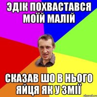 Эдік похвастався моїй малій Сказав шо в нього яйця як у змії