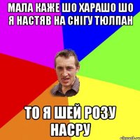 Мала каже шо харашо шо я настяв на снігу тюлпан то я шей розу насру