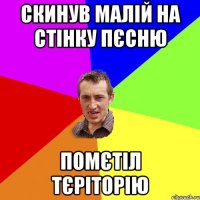 СКИНУВ МАЛІЙ НА СТІНКУ ПЄСНЮ ПОМЄТІЛ ТЄРІТОРІЮ