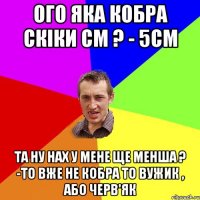 ого яка кобра скіки см ? - 5см Та ну нах у мене ще менша ? -то вже не кобра то вужик , або черв'як