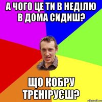 А чого це ти в неділю в дома сидиш? що кобру треніруєш?