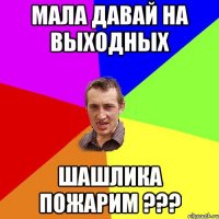 Мала давай на выходных ШАШЛИКА ПОЖАРИМ ???