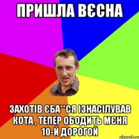 Пришла вєсна Захотів єба**ся ізнасілував кота , тепер ободить мєня 10-й дорогой