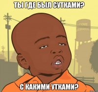 ТЫ где был сутками? с какими утками?