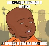 Александр не уходи в отпуск Я приеду к тебе на обучение