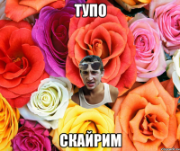 Тупо Скайрим