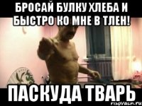 бросай булку хлеба и быстро ко мне в тлен! паскуда тварь