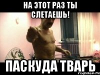 на этот раз ты слетаешь! паскуда тварь