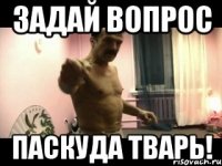 Задай вопрос Паскуда тварь!