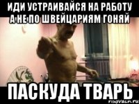 ИДИ УСТРАИВАЙСЯ НА РАБОТУ А НЕ ПО ШВЕЙЦАРИЯМ ГОНЯЙ ПАСКУДА ТВАРЬ