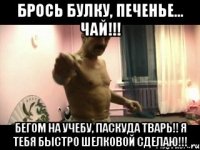 брось булку, печенье... чай!!! бегом на учебу, паскуда тварь!! я тебя быстро шелковой сделаю!!!