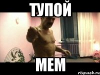 Тупой Мем