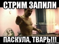 Стрим запили Паскула, тварь!!!