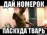 ДАЙ НОМЕРОК ПАСКУДА ТВАРЬ