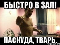 Быстро в зал! Паскуда, тварь.