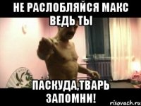 Не раслобляйся макс ведь ты паскуда,тварь запомни!