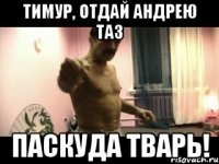 тимур, отдай андрею ТАЗ ПАСКУДА ТВАРЬ!