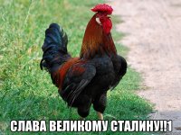  Слава великому Сталину!!1