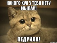 Какого ХУЯ У тебя нету мыла!!! Педрила!