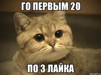 го первым 20 по 3 лайка